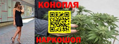 прущие грибы Тулун