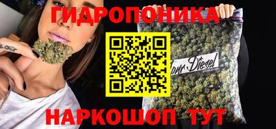 прущие грибы Тулун